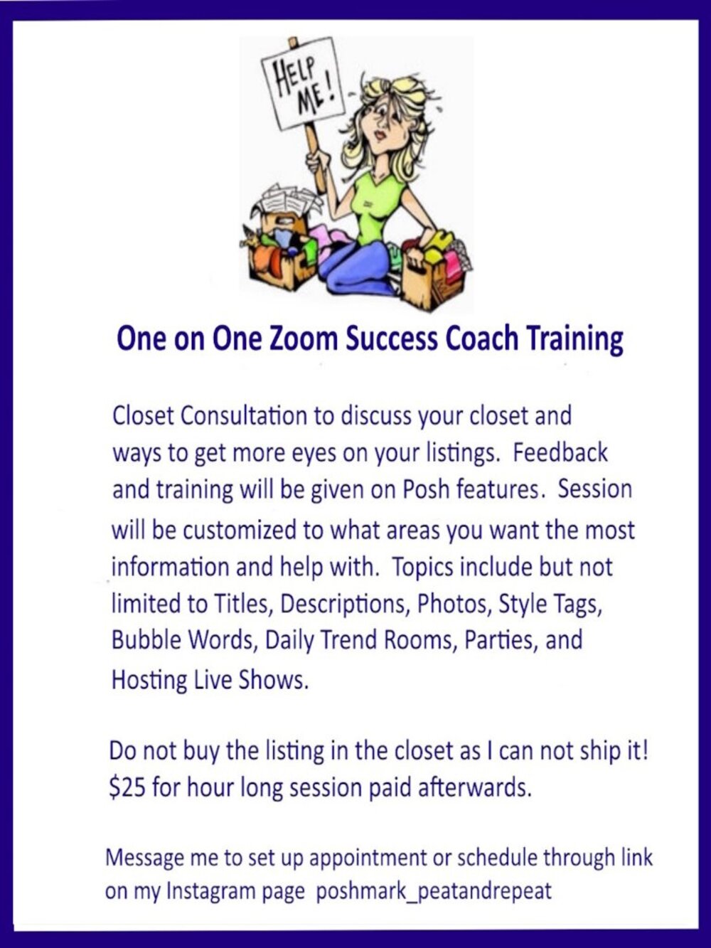 Poshmark Tips and Techniques Success Coaching Zoom Meeting 1 Hour Consultation